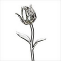 Waterford Crystal Fleurology Glass Flower - Tulip